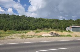 Teren de vanzare, 3.500 mp, zona Dragomirești - DN 72A