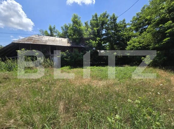 Casa de vânzare 3 camere Tomsani - 199057CV | BLITZ Târgoviște | Poza13