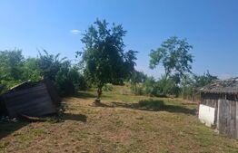Casa individuala, 100 mp, teren 5000 mp, zona Mogosani 
