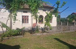 Casa individuala, 100 mp, teren 5000 mp, zona Mogosani 