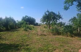 Casa individuala, 100 mp, teren 5000 mp, zona Mogosani 