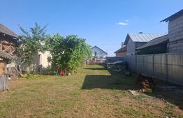 Casa individuala, 100 mp, teren 5000 mp, zona Mogosani 