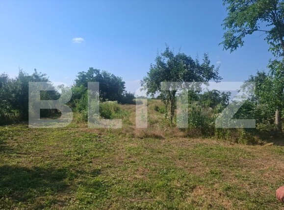 Casa de vânzare 2 camere Mogosani - 199309CV | BLITZ Târgoviște | Poza5