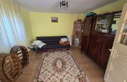 Casă cu gospodărie, livadă și grădină, 106 mp – Costeștii din Deal