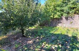 Casă cu gospodărie, livadă și grădină, 106 mp – Costeștii din Deal