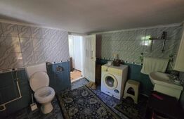 Casă cu gospodărie, livadă și grădină, 106 mp – Costeștii din Deal