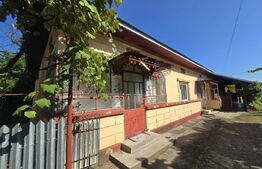 Casă cu gospodărie, livadă și grădină, 106 mp – Costeștii din Deal