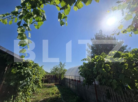 Casa de vânzare 3 camere Costestii din Deal - 199377CV | BLITZ Târgoviște | Poza13