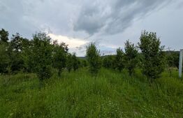 Teren intravilan, 4500 mp, zona Voinesti