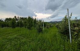 Teren intravilan, 4500 mp, zona Voinesti
