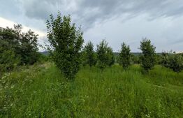 Teren intravilan, 4500 mp, zona Voinesti