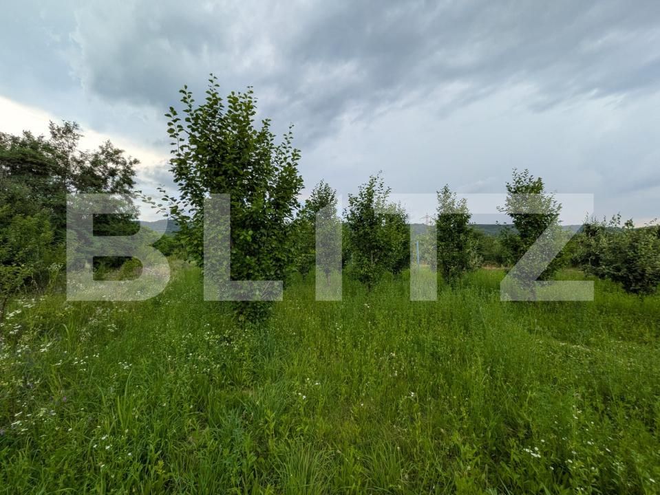 Teren de vânzare Voinesti - 199391TV | BLITZ Târgoviște | Poza7