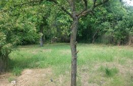 🌳 Oază de Liniște pe Valea Dâmboviței – Casă cu Două Corpuri și Acces la Râu DB