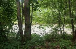 🌳 Oază de Liniște pe Valea Dâmboviței – Casă cu Două Corpuri și Acces la Râu DB