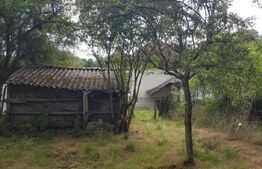 🌳 Oază de Liniște pe Valea Dâmboviței – Casă cu Două Corpuri și Acces la Râu DB