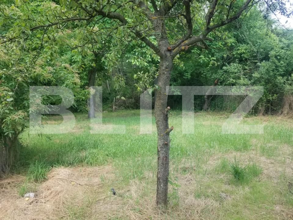 Casa de vânzare 6 camere Malu cu Flori - 199393CV | BLITZ Târgoviște | Poza19