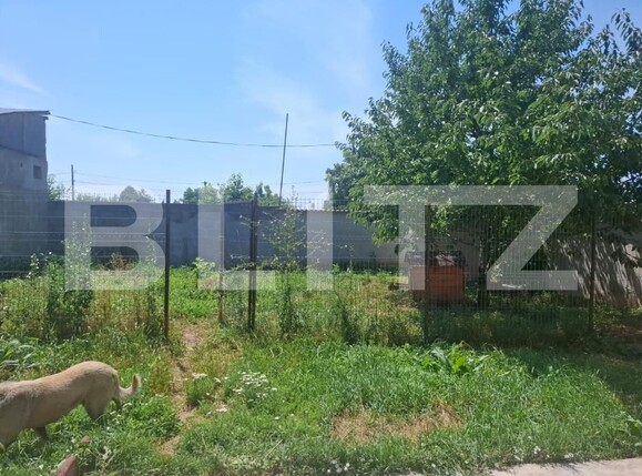 Casa de vânzare 6 camere Prepeliac - 199473CV | BLITZ Târgoviște | Poza12