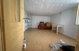 Casă spațioasă, 294 mp, 1.692 mp teren, garaj, terasă și grădină – Voinești
