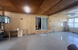 Casă spațioasă, 294 mp, 1.692 mp teren, garaj, terasă și grădină – Voinești