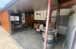 Casă spațioasă, 294 mp, 1.692 mp teren, garaj, terasă și grădină – Voinești