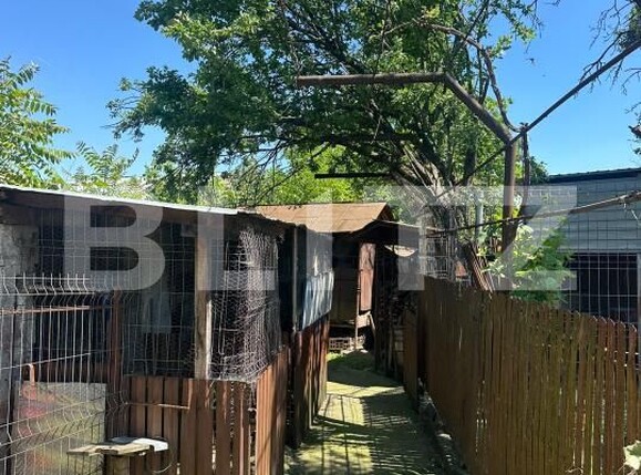 Casa de vânzare 3 camere Produlesti - 199697CV | BLITZ Târgoviște | Poza4