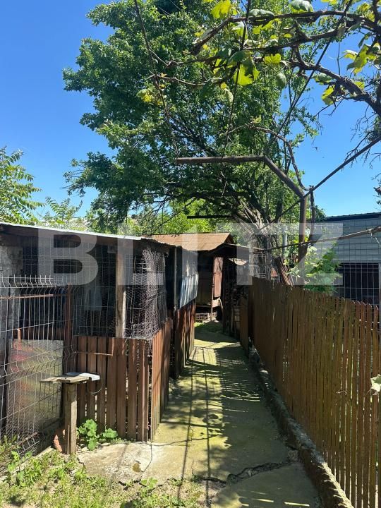 Casa de vânzare 3 camere Produlesti - 199697CV | BLITZ Târgoviște | Poza4