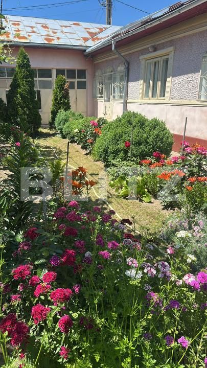 Casa de vânzare 3 camere Produlesti - 199697CV | BLITZ Târgoviște | Poza5