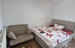 Garsonieră 23 mp, centrală proprie & AC, zona Târgoviște - Str. Laminorului 