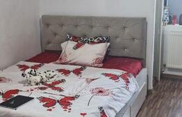 Garsonieră 23 mp, centrală proprie & AC, zona Târgoviște - Str. Laminorului 