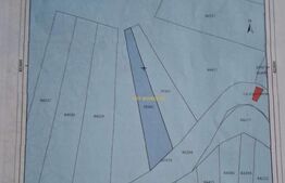Teren intravilan, 1419 mp, zona Moroeni 