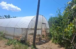 Casa de vanzare, 100 mp, zona Produlesti