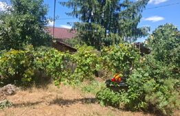 Casa de vanzare, 100 mp, zona Produlesti