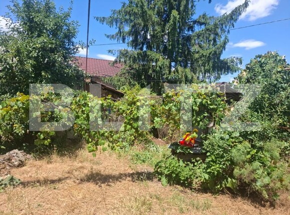 Casa de vânzare 5 camere Costestii din Deal - 199827CV | BLITZ Târgoviște | Poza5