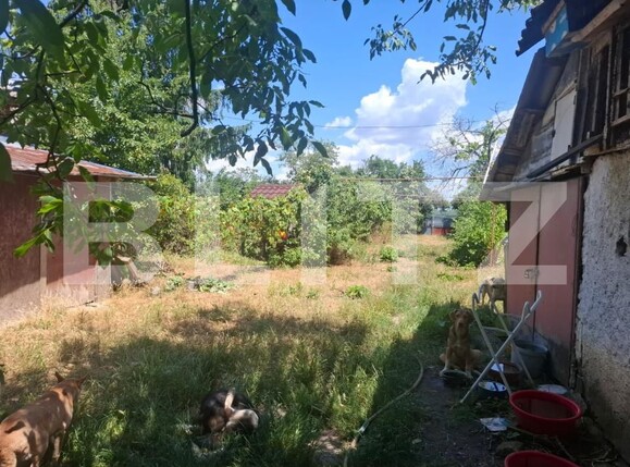 Casa de vânzare 5 camere Costestii din Deal - 199827CV | BLITZ Târgoviște | Poza4