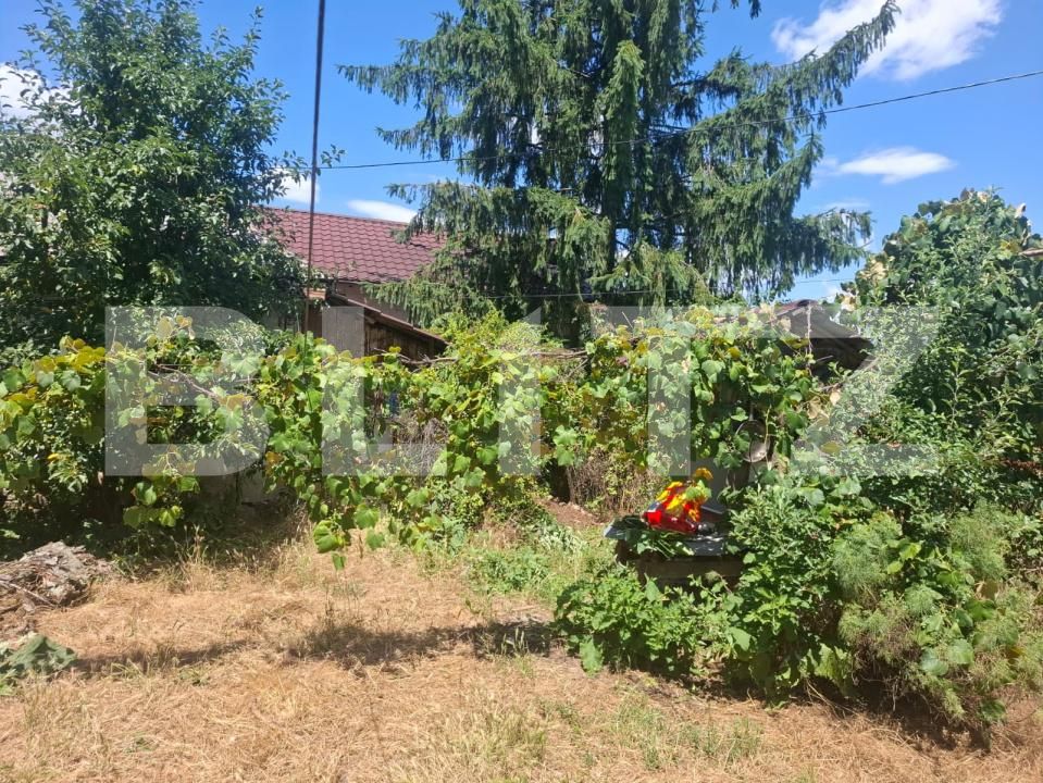 Casa de vânzare 5 camere Costestii din Deal - 199827CV | BLITZ Târgoviște | Poza5