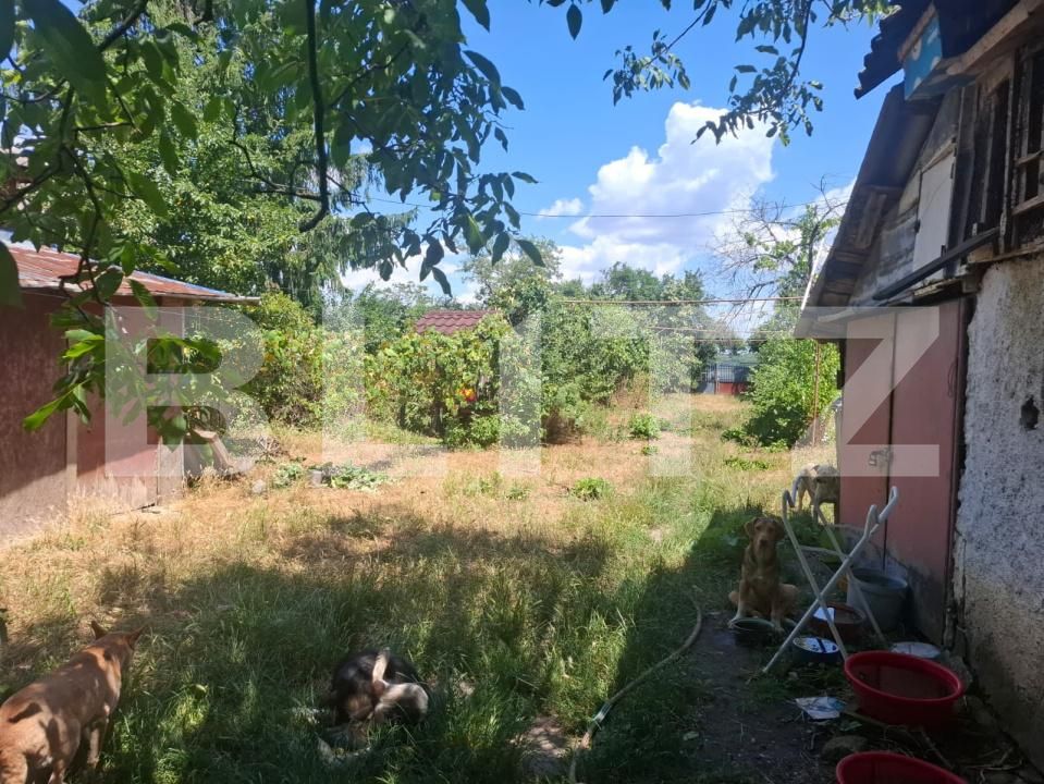 Casa de vânzare 5 camere Costestii din Deal - 199827CV | BLITZ Târgoviște | Poza4