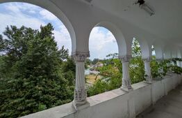 Clădire P+1 cu 9 camere și Terasă Spectaculoasă, Ideală pentru Pensiune,/Clinica