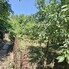 Casa de vânzare 3 camere Titu - 200361CV - Poza 1 din 11 | BLITZ Târgoviște | Poza10