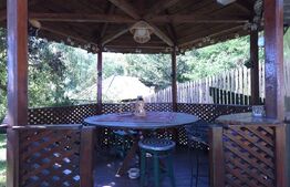 Casa de vanzare, 128 mp, satul Măgura