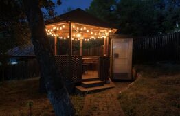 Casa de vanzare, 128 mp, satul Măgura