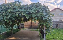 Casa de vanzare, 87 mp, zona Vișioara