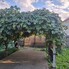 Casa de vânzare 4 camere Viisoara - 200472CV - Poza 1 din 25 | BLITZ Târgoviște | Poza15