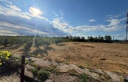 Loturi de teren intravilan de vânzare – Racovița, județul Dâmbovița