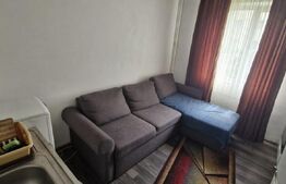 Garsonieră mobilată, etaj 2, 25 mp, zona Micro 9 