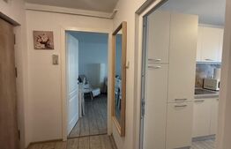 Apartament 2 camere, renovat, 46 mp, mobilat, zona Central