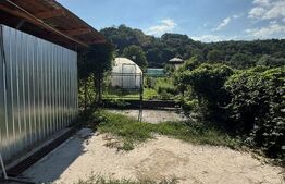 Casă P+1+M, 490 mp, teren 2.714 mp, zona Pucioasa