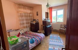 Casă P+1+M, 490 mp, teren 2.714 mp, zona Pucioasa