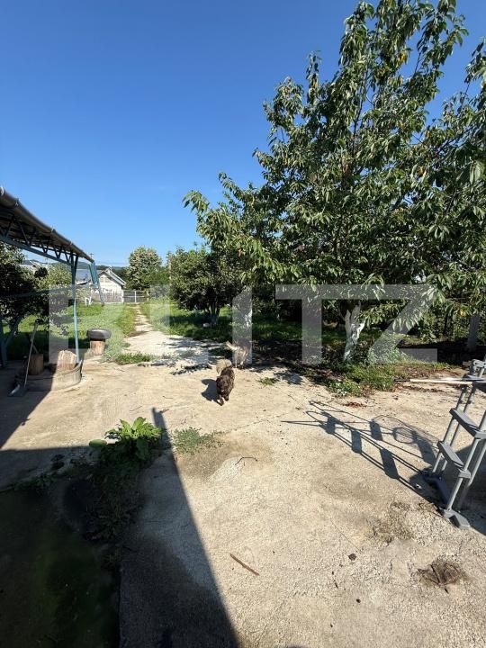 Casa de vânzare 10 camere Pucioasa - 200931CV | BLITZ Târgoviște | Poza16