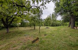Casa individuala, 85 mp, zona Malu cu Flori, sat Miclosanii Mici