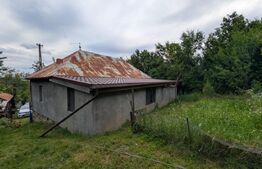 Casa individuala, 85 mp, zona Malu cu Flori, sat Miclosanii Mici
